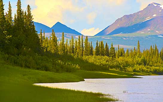 Seguro de viaje al parque nacional del Valle de Kobuk